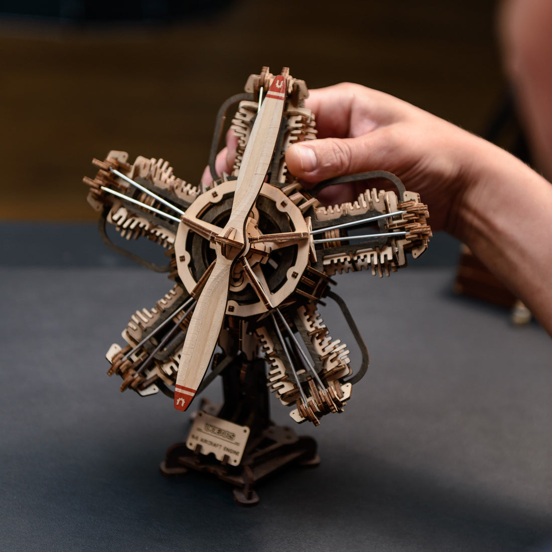 3D Puzzles for Adults: Three New UGEARS Models