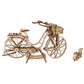 Bicicleta Holandesa