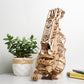 Hurdy-Gurdy