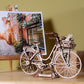 Bicicleta Holandesa