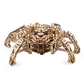 Hexapod Explorer