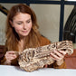 Hurdy-Gurdy