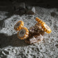 NASA Lunar Rover