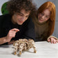 Hexapod Explorer