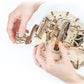 Hurdy-Gurdy